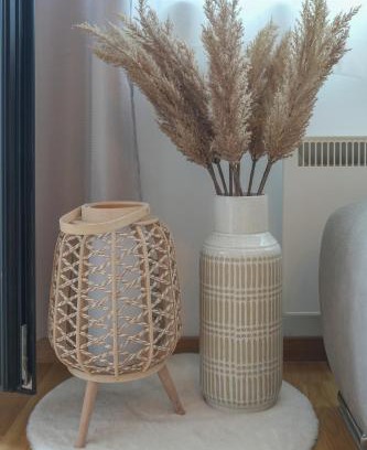 Zlatibor Apartment | Apartment Forma