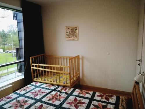 Druskininkai Apartment | Apartment in Druskininkai Lithuania