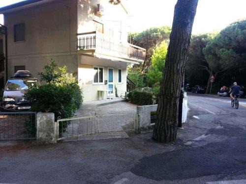 Rosolina Mare Apartment | Apartment in Rosolina Mare 24989