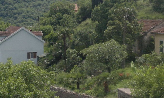 Zelenika Apartment | Apartment in Zelenika, 3-4km close to Herceg Novi. Wi - Fi, Parking place