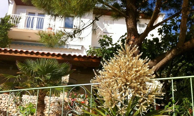 Primosten Apartment | Apartment Ina, (14363), Primošten, Croatia