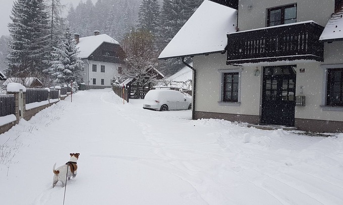 Kranjska Gora Apartment | Apartment Irvin in Kranjska Gora