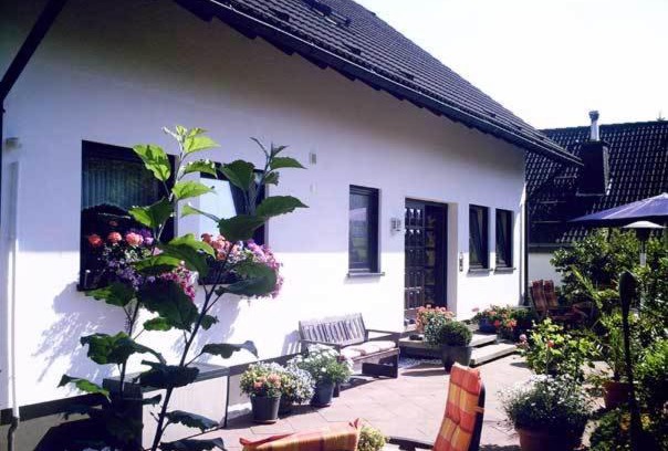 Langewiese Apartment | Apartment Jüngst