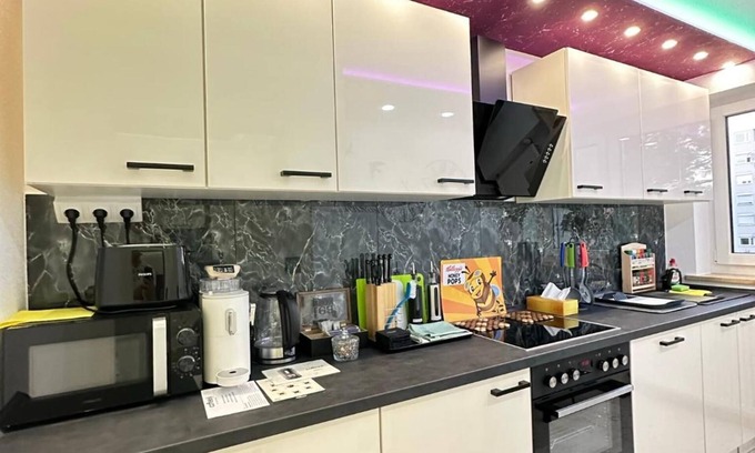 Neuburg Apartment | Apartment 'Modern Apartments Neuburg 4 - New' with Balcony and Wi-Fi