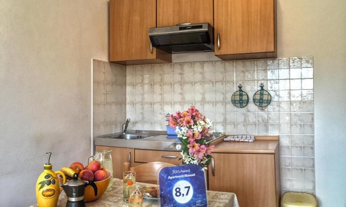 Novigrad Apartment | Apartment Manuel