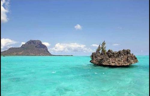 Le Morne Brabant Apartment | Apartment ∙ 2 bedrooms ∙ 4 guests
