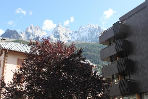 Chamonix City Centre Apartment | Apartment Mummery 1 - Central Chamonix Walk to Piste
