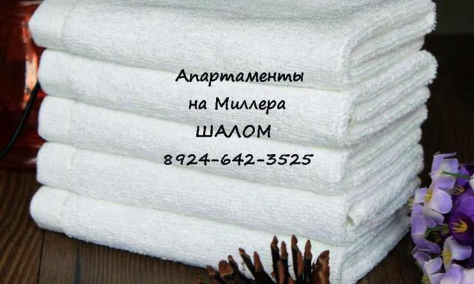 Birobidzhan Hotel | Apartment on Millera