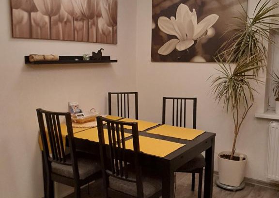 Cheb Apartment | Apartment Riegerovka