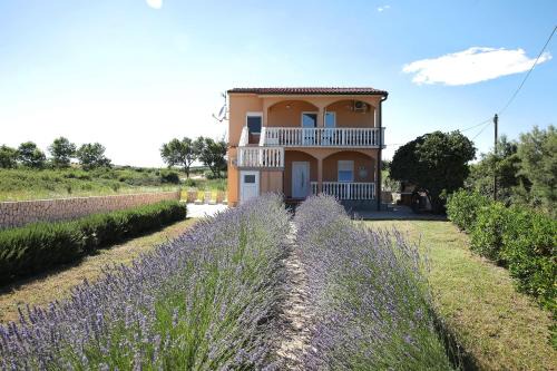 Vir Apartment | Apartment Sapavac