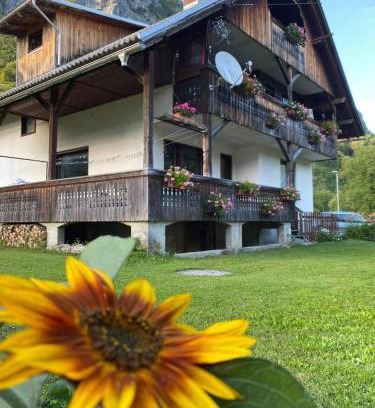Studor Apartment | Apartment V&N, LAKE BOHINJ