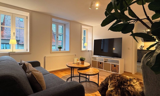 Freudenstadt Apartment | Apartment with roof terrace on the market square - Pets welcome!