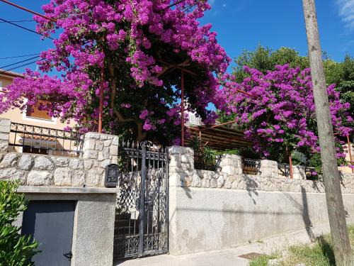 Cove Murtar House | Apartments and Rooms Rosemari