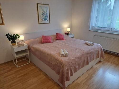 Lukovica Apartment | Apartments Bukor with seasonal pool