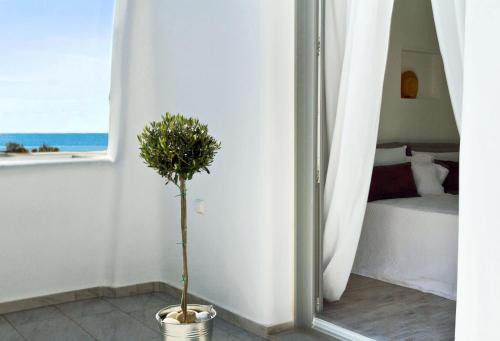 Agios Prokopios House | Apartments Enosis, Alia