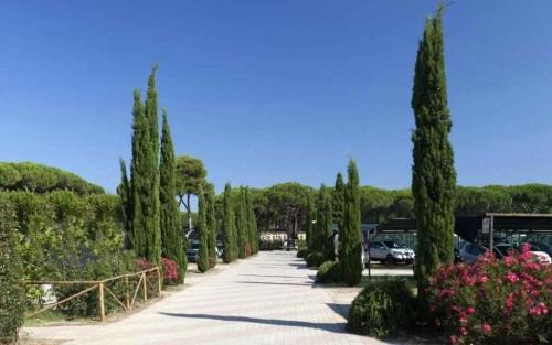 Orbetello Apartment | Apartments in Albinia - Toskana 54395