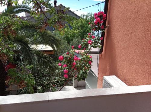 Hvar Old Town Apartment | Apartments Laura