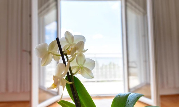 Starigrad Apartment | Apartments Marija