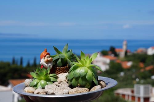 Gradac Apartment | Apartments Mateljak