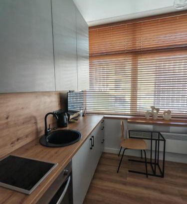 Snipiskes Apartment | Apartmentsforrent in Vilnius