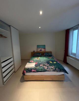 Dansaert Apartment | Apparemment Saint Catherine