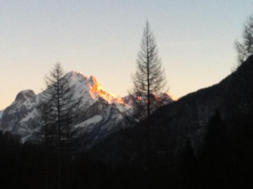Campitello di Fassa Apartment | Appartamento Ivo