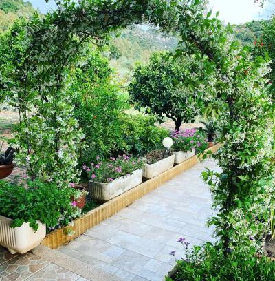 Domus de Maria House | Appartamento in Villa Gelsomino