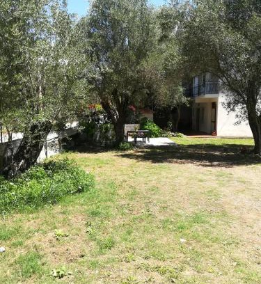 Palinuro Apartment | Appartamento Sole e Mare