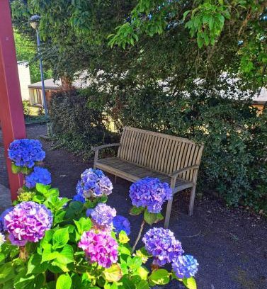 La Salvetat-sur-Agout Apartment | Appartement à 200 m du lac de la Raviège