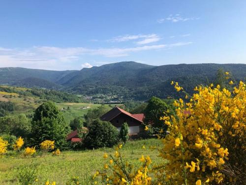 Fresse-sur-Moselle Apartment | Appartement à la ferme vosgienne avec terrasse, cheminée et wifi - FR-1-589-759