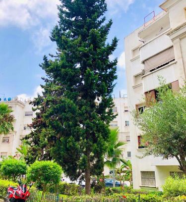 Oulad Khallouf Apartment | Appartement à rue Emile brunet Blvrd Bnu tachfin