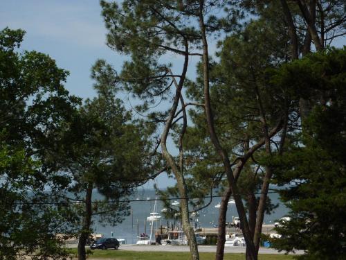 Andernos-les-Bains Apartment | Appartement 2 chambres Bassin d'Arcachon front de mer, plage du Betey