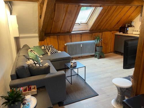Le Hohwald Apartment | Appartement 3 pieces centre du Hohwald # 201