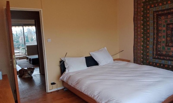 Turckheim Apartment | Appartement avec balcon : Le Serenity
