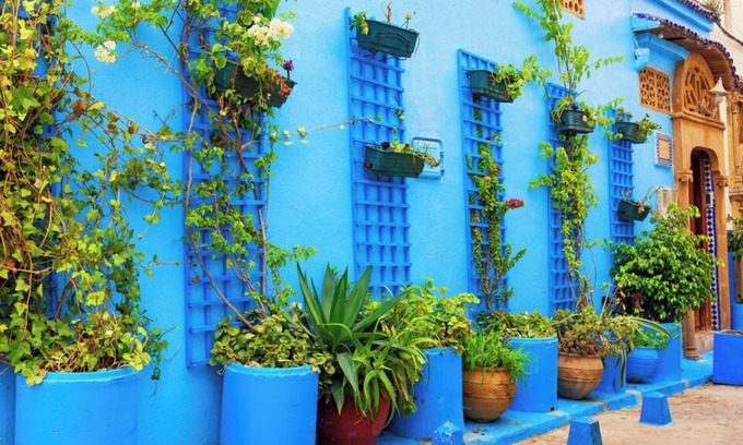 L'Ocean Apartment | Appartement Cozy & Elégant-Centre Rabat