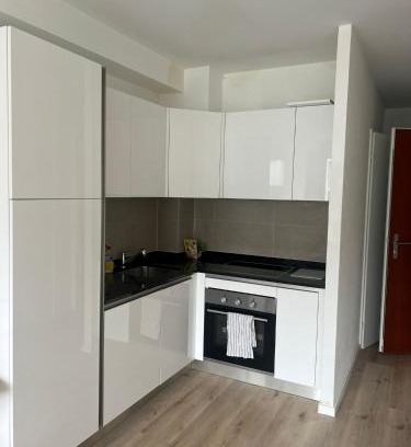 Downtown Geneva Apartment | Appartement Famille
