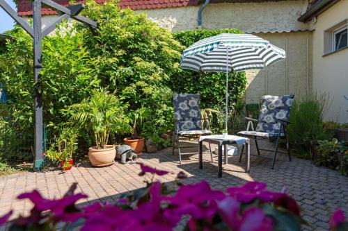 Dessau-Rosslau Apartment | Appartement In Süd