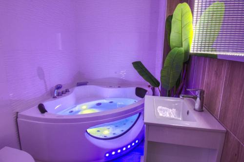 Mons - Plaine basse Apartment | Appartement Plage et JACUZZI Balnéothérapie Athis Mons