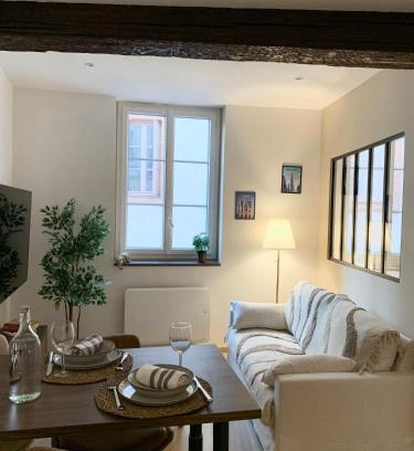 Capitole Apartment | Appartement Puits-Clos - Quartier Capitole