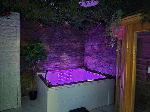 Bastide Saint-Louis Apartment | Appartement Spa et Sauna privatif - Terrasse