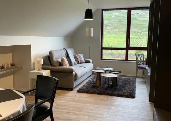 Kientzheim Apartment | Appartements de Manon au cœur des vignes