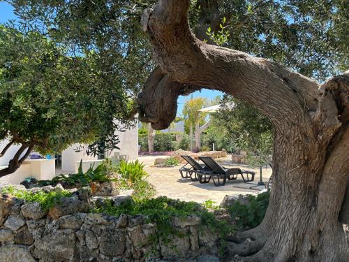 Polignano a Mare Apartment | Aquarium - Villa con accesso al mare - parcheggio