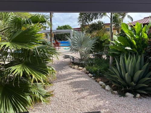 Willemstad Apartment | Aquila apartments en studios