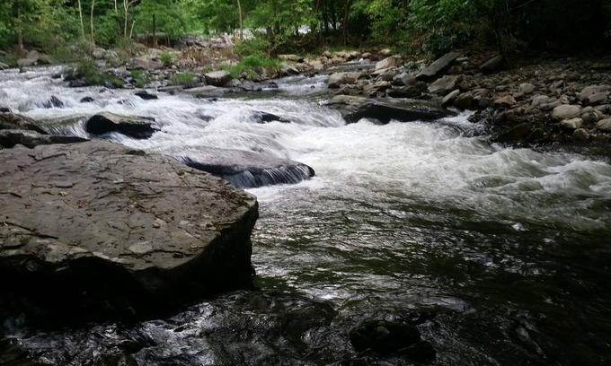 Robbinsville Cabin | Archie's Place w/jacuzzi tub on US 129 the DRAGON 🐲 hammock, firepit-grill :)