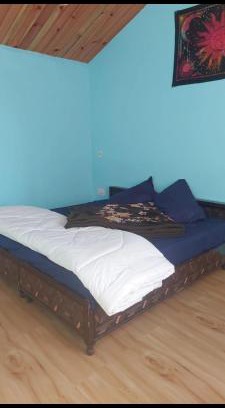 Kasol House | Area 51 cafe and farmstay kasol
