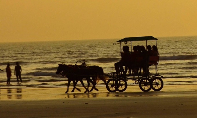 Diveagar Hotel | Areca Palms