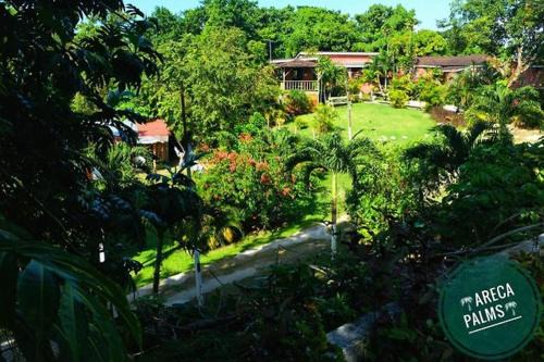 Port Antonio House | Areca Palms