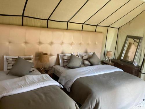 Merzouga House | Arena Desert Camp & Activitys