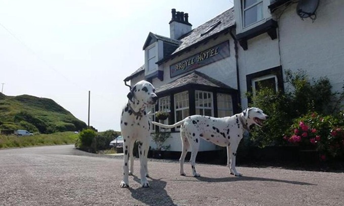 Bellochantuy Hotel | Argyll Hotel