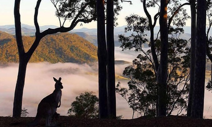 Vacy Cabin | Arinya Lodge - Mountaintop Wilderness Escape